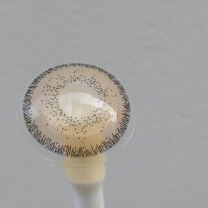 Natural Avela contact lens – photo 7