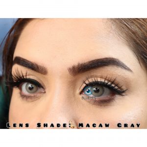 Macaw Gray