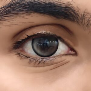 Milk Tea contact lens worn on eye